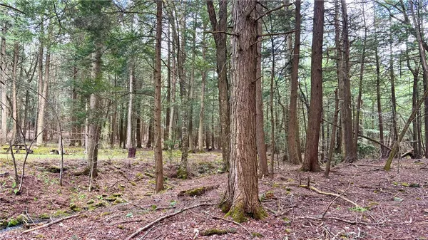 $120,000 | Lot 6.15 Little Beaver Creek Lane, Jefferson, NY 12093