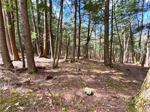 $120,000 | Lot 6.15 Little Beaver Creek Lane, Jefferson, NY 12093