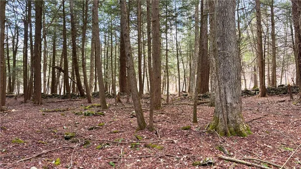 $120,000 | Lot 6.15 Little Beaver Creek Lane, Jefferson, NY 12093