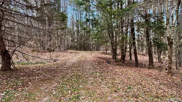 $120,000 | Lot 6.15 Little Beaver Creek Lane, Jefferson, NY 12093