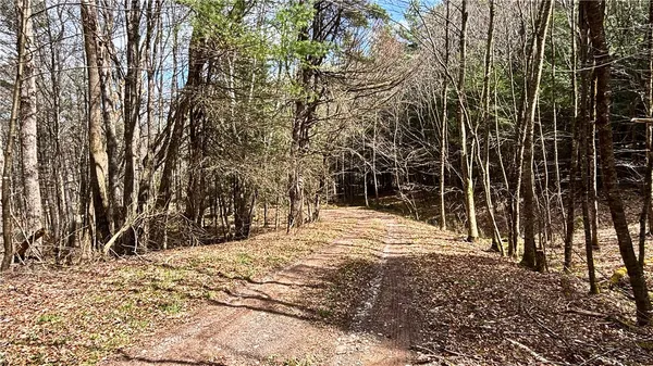 $120,000 | Lot 6.15 Little Beaver Creek Lane, Jefferson, NY 12093