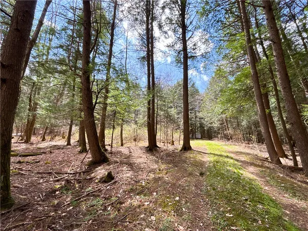 $120,000 | Lot 6.15 Little Beaver Creek Lane, Jefferson, NY 12093