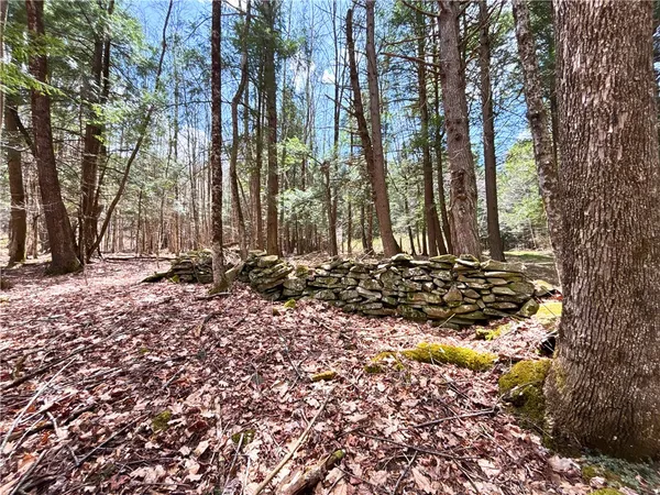 $120,000 | Lot 6.15 Little Beaver Creek Lane, Jefferson, NY 12093