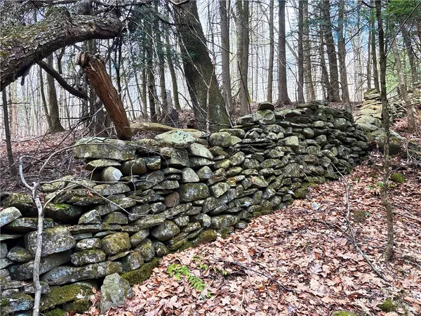 $120,000 | Lot 6.15 Little Beaver Creek Lane, Jefferson, NY 12093