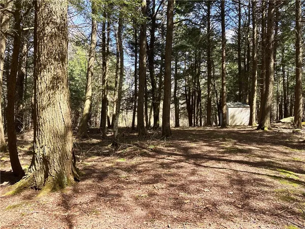 $120,000 | Lot 6.15 Little Beaver Creek Lane, Jefferson, NY 12093
