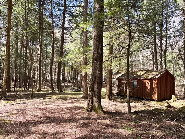 $120,000 | Lot 6.15 Little Beaver Creek Lane, Jefferson, NY 12093