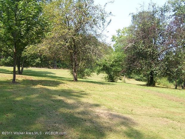302 South Gamble Road Jasper, AL 35501 - Photo 16 of 16 Gallery Image 16