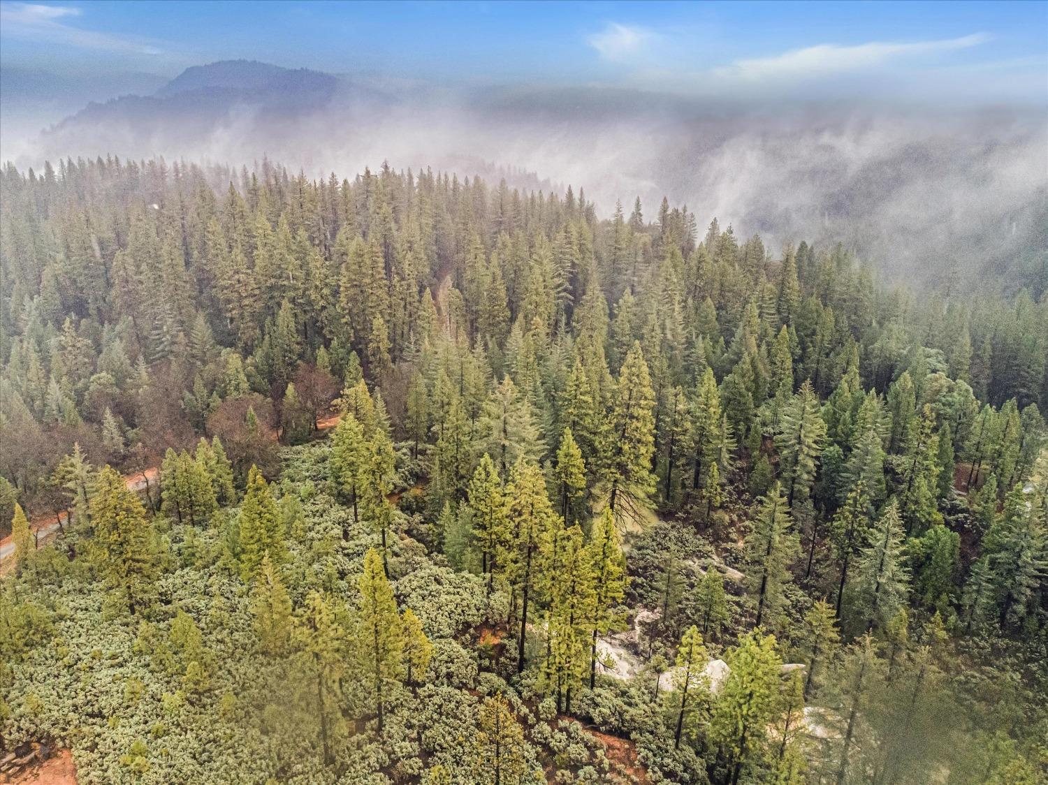 20.48 Rural Agriculture Acres in Nevada City! Pristine, serene and an affordable way to invest in real estate!