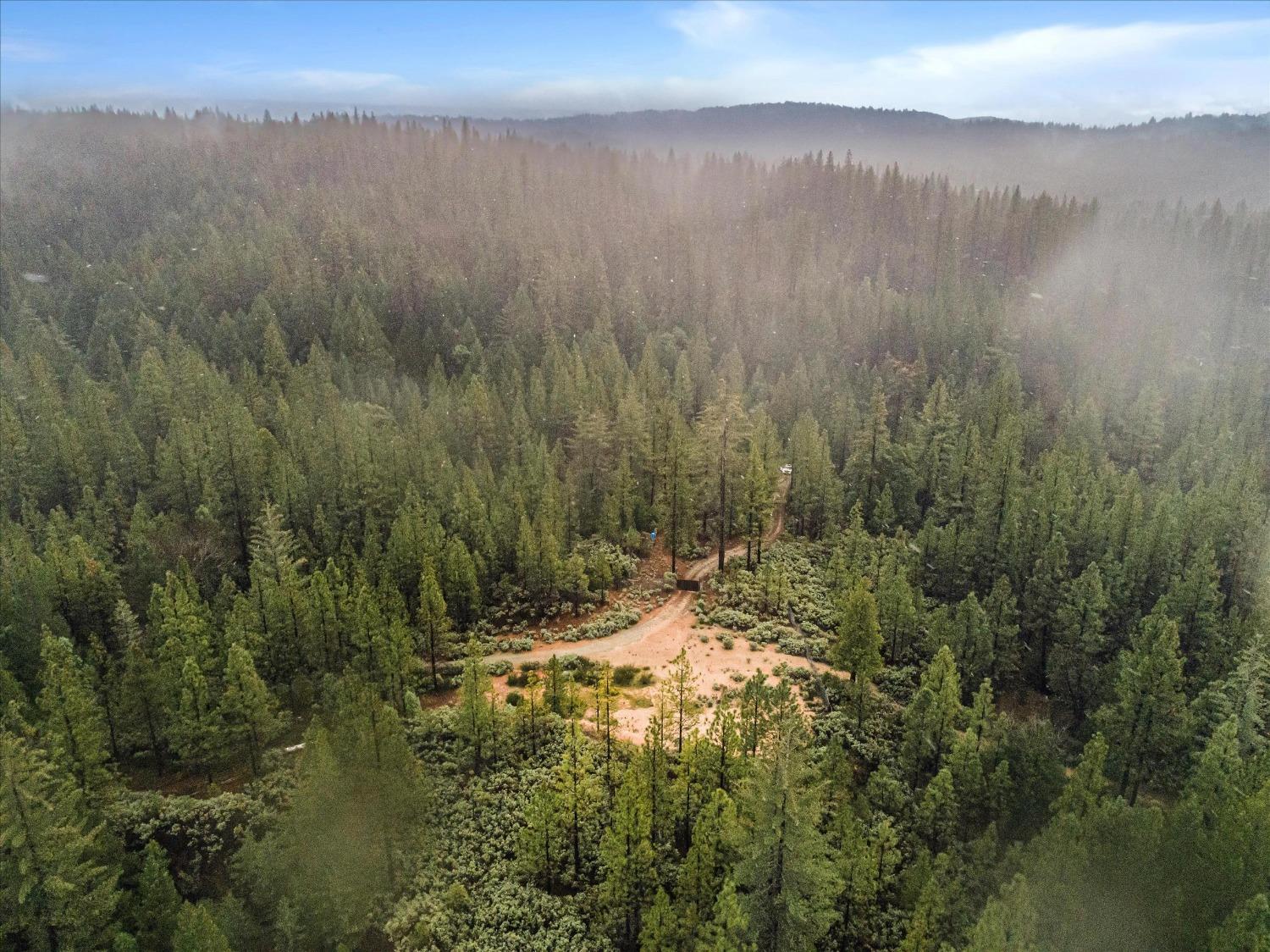 16841 Patterson Mine Road Nevada City, CA 95959 - Photo 14 of 20