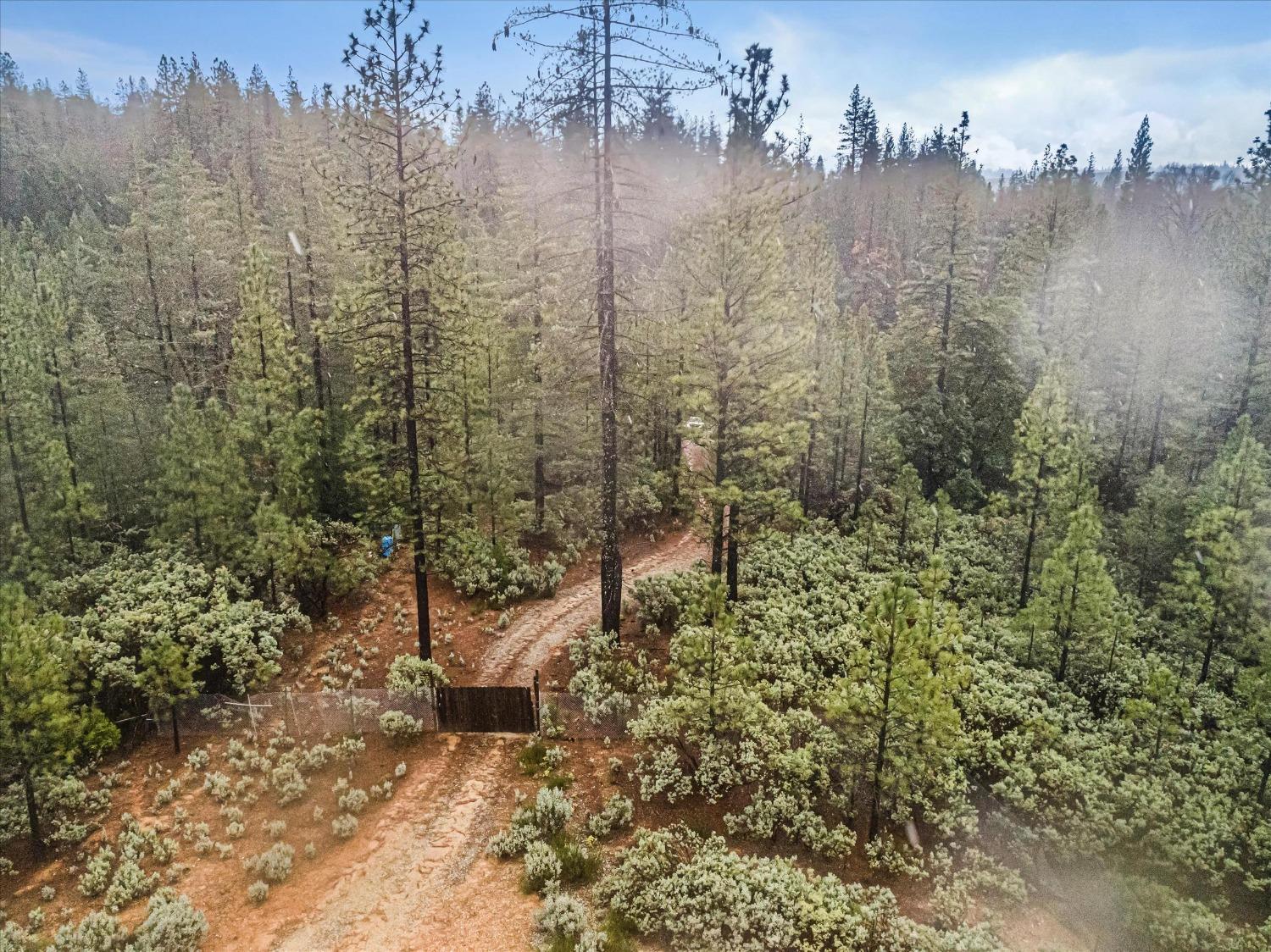 16841 Patterson Mine Road Nevada City, CA 95959 - Photo 2 of 20 20.48 Rural Agriculture Acres in Nevada City!