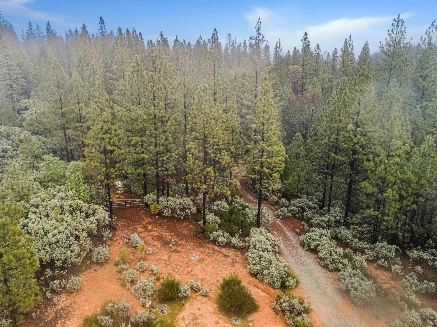 16841 Patterson Mine Road Nevada City, CA 95959 - Photo 3 of 20