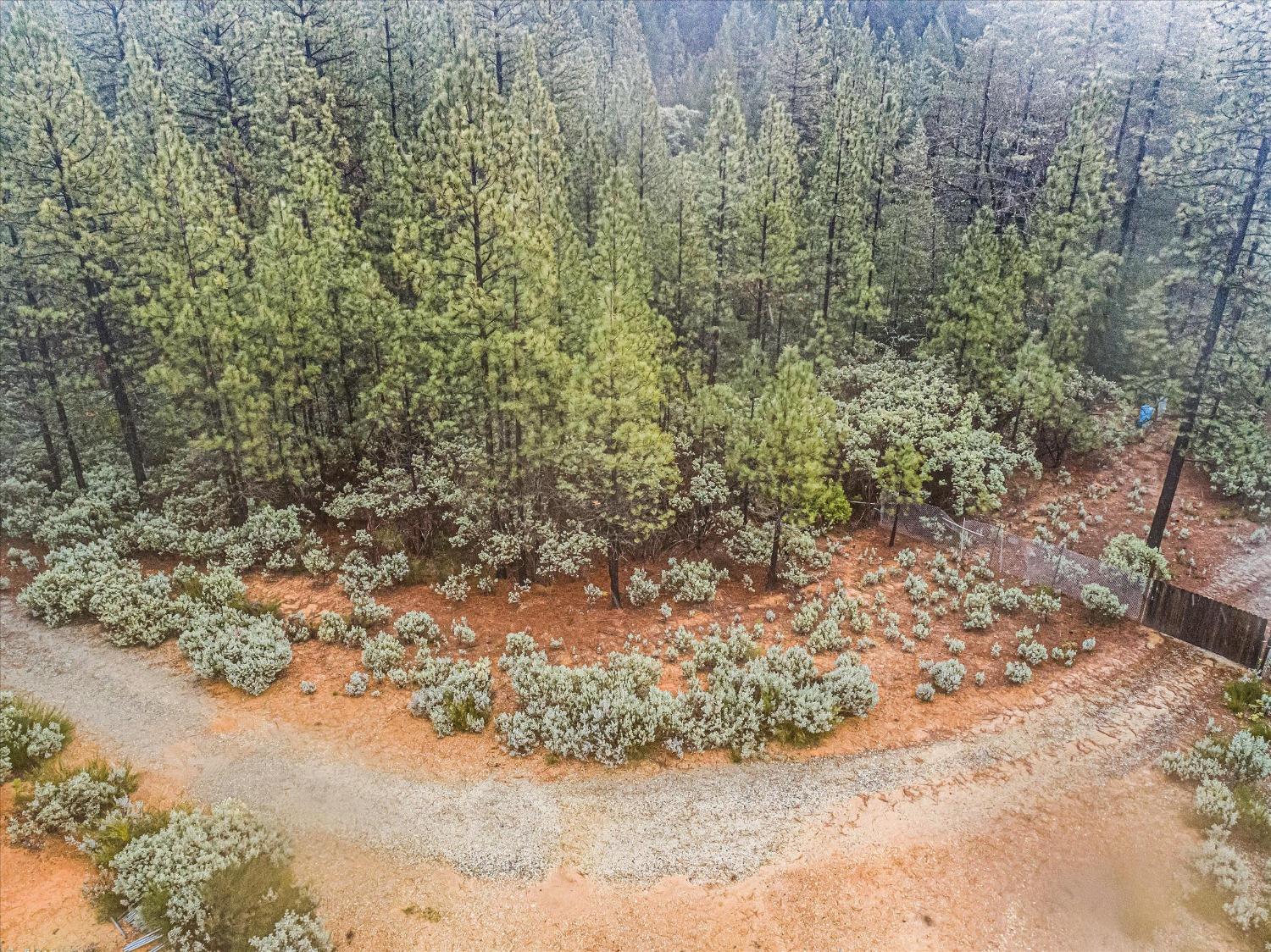 16841 Patterson Mine Road Nevada City, CA 95959 - Photo 5 of 20