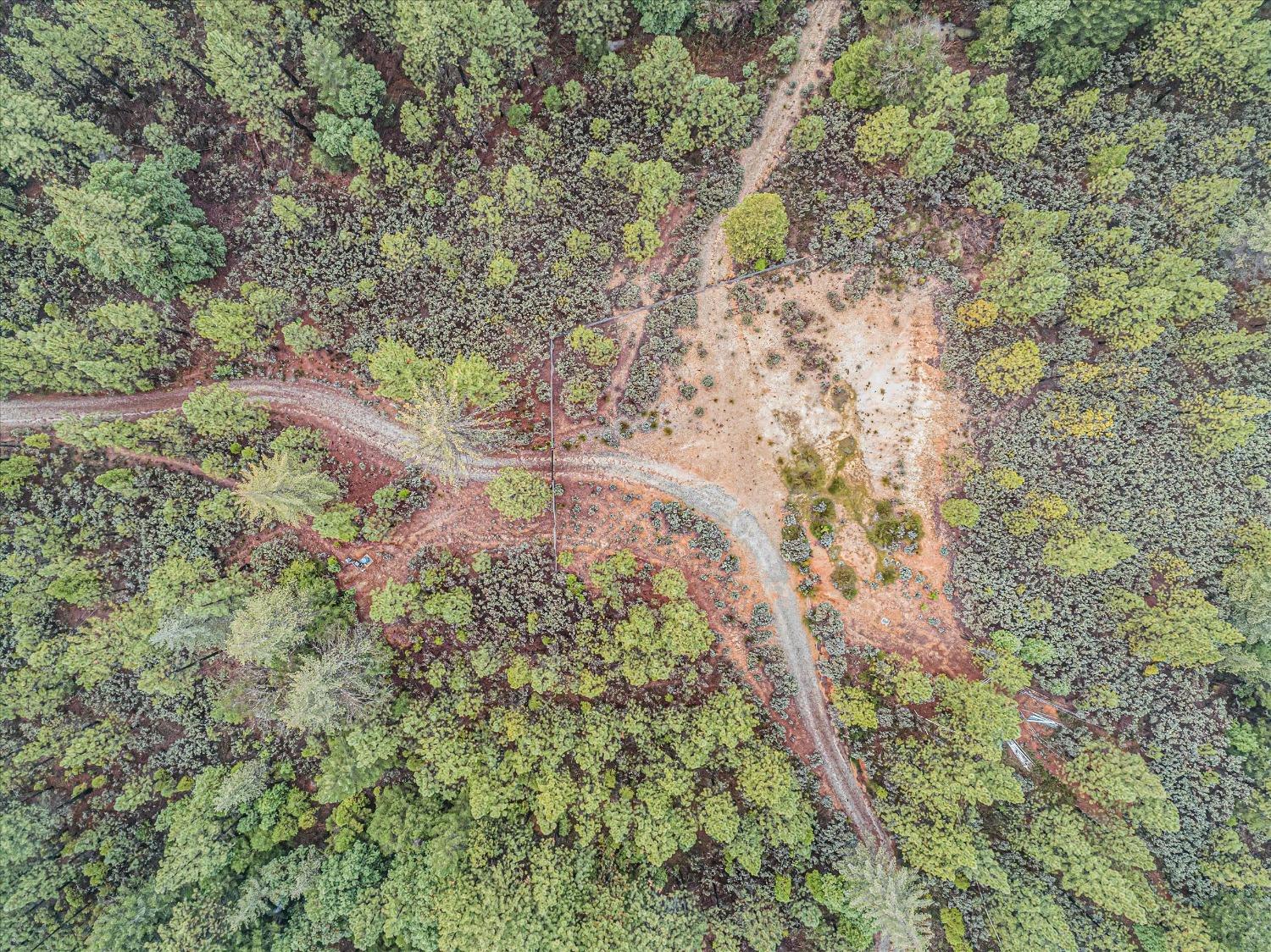 16841 Patterson Mine Road Nevada City, CA 95959 - Photo 6 of 20