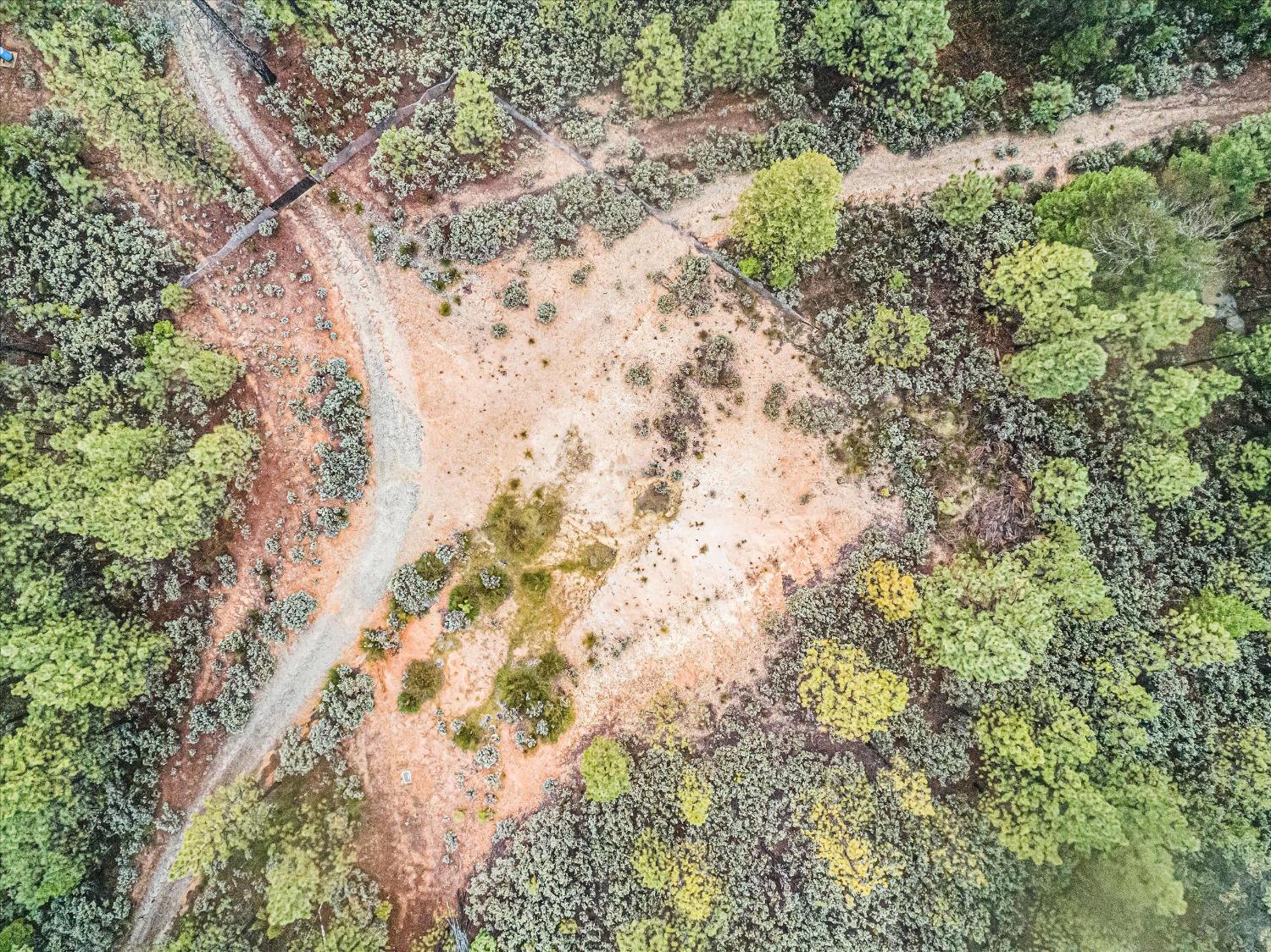 16841 Patterson Mine Road Nevada City, CA 95959 - Photo 7 of 20