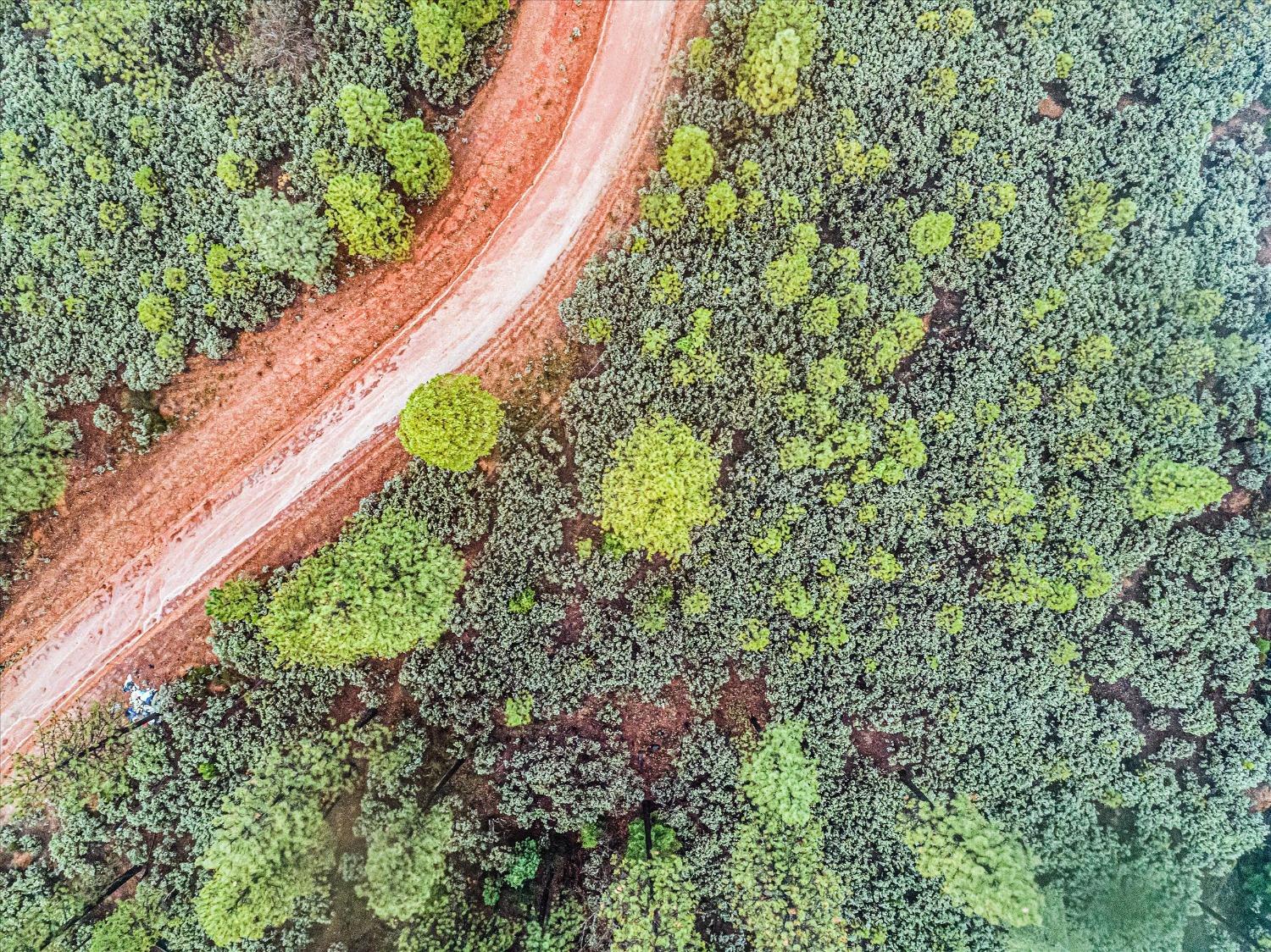 16841 Patterson Mine Road Nevada City, CA 95959 - Photo 8 of 20