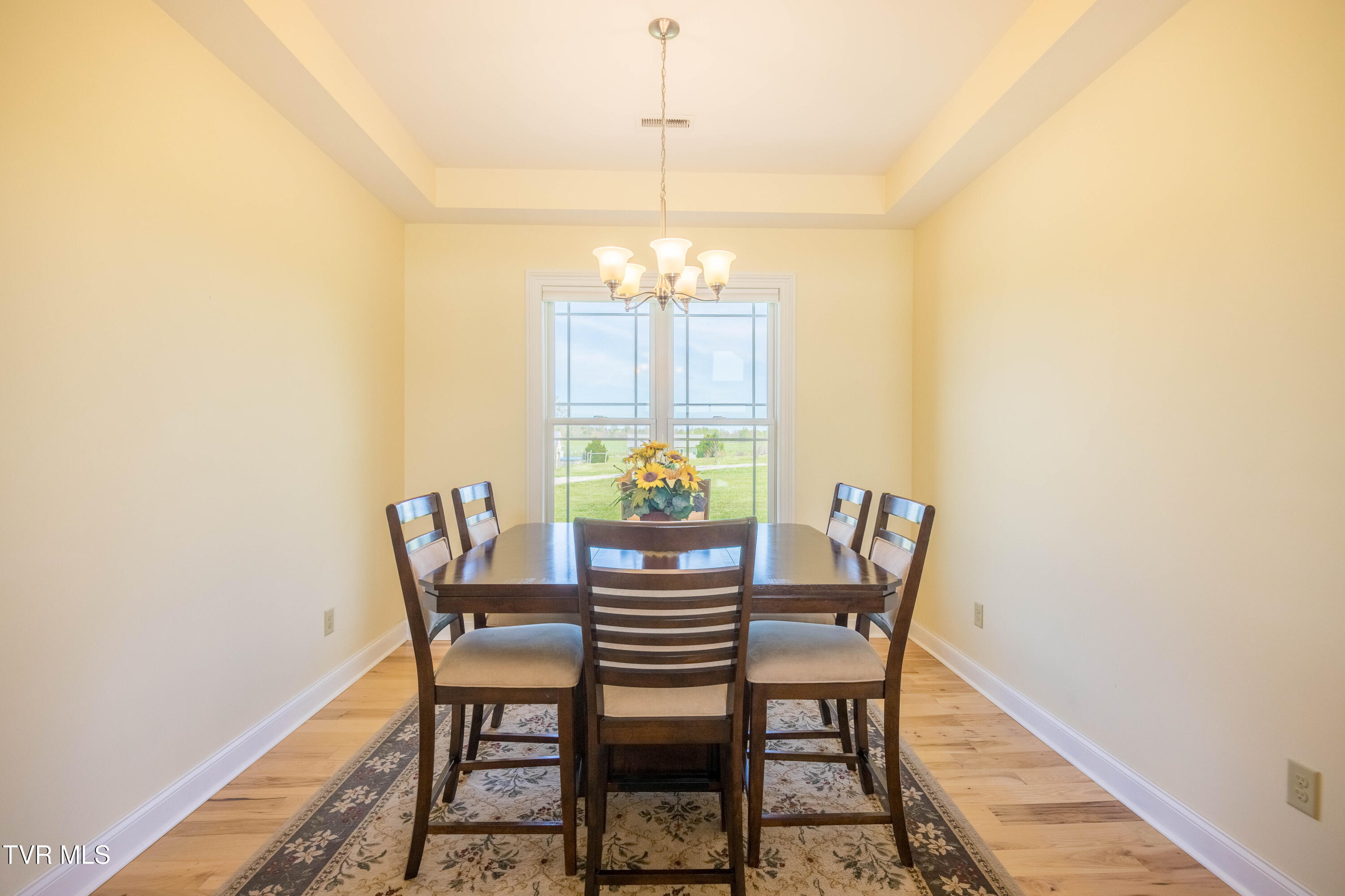 212 Forked Deer Road Greeneville, TN 37743 - Photo 12 of 55 087A0617-HDR