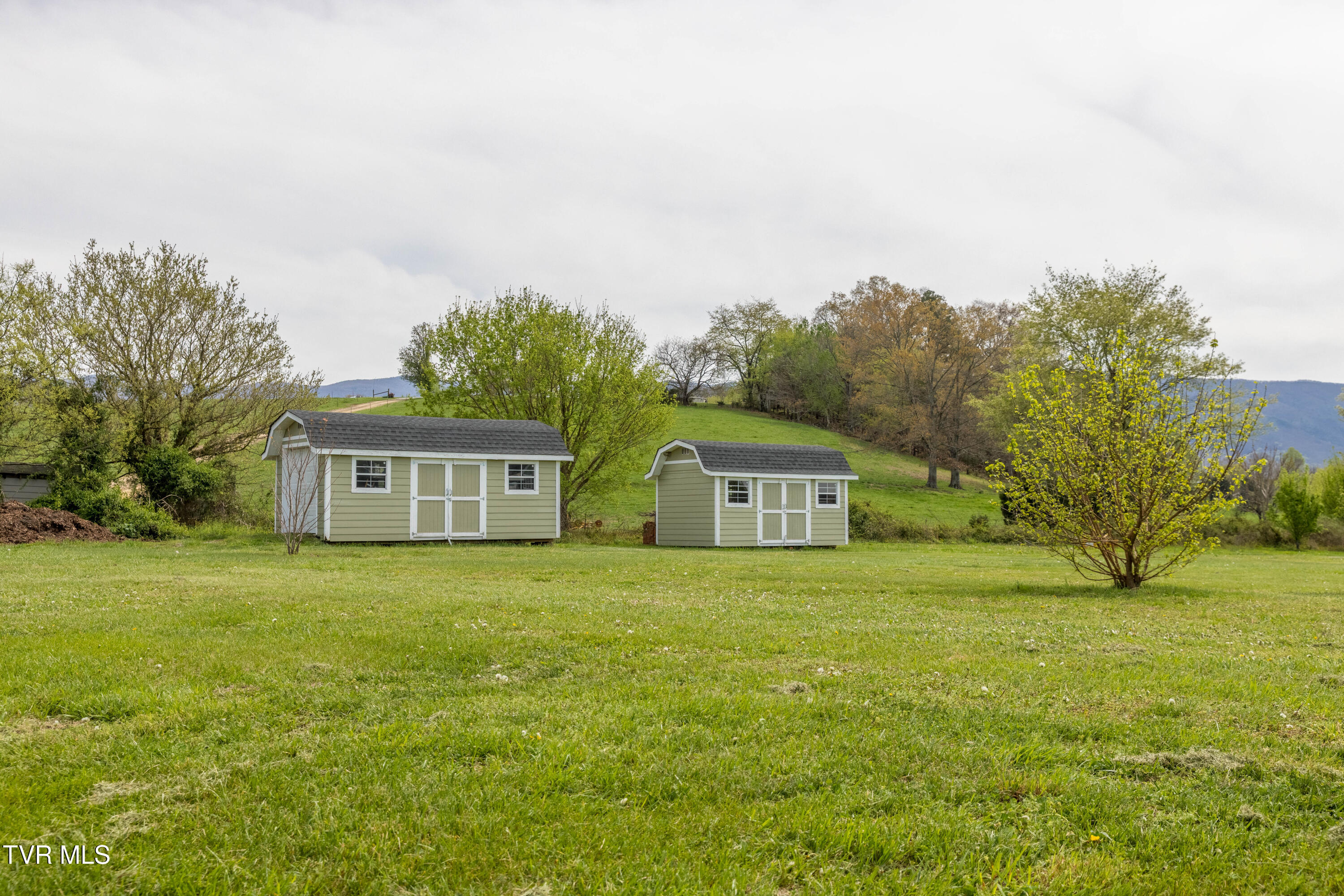 212 Forked Deer Road Greeneville, TN 37743 - Photo 42 of 55 087A0822-HDR
