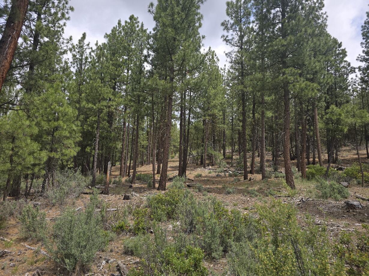 0 Chiloquin Ridge Road, Unit 1 Chiloquin, OR 97624 - Photo 24 of 46 20250621_123554
