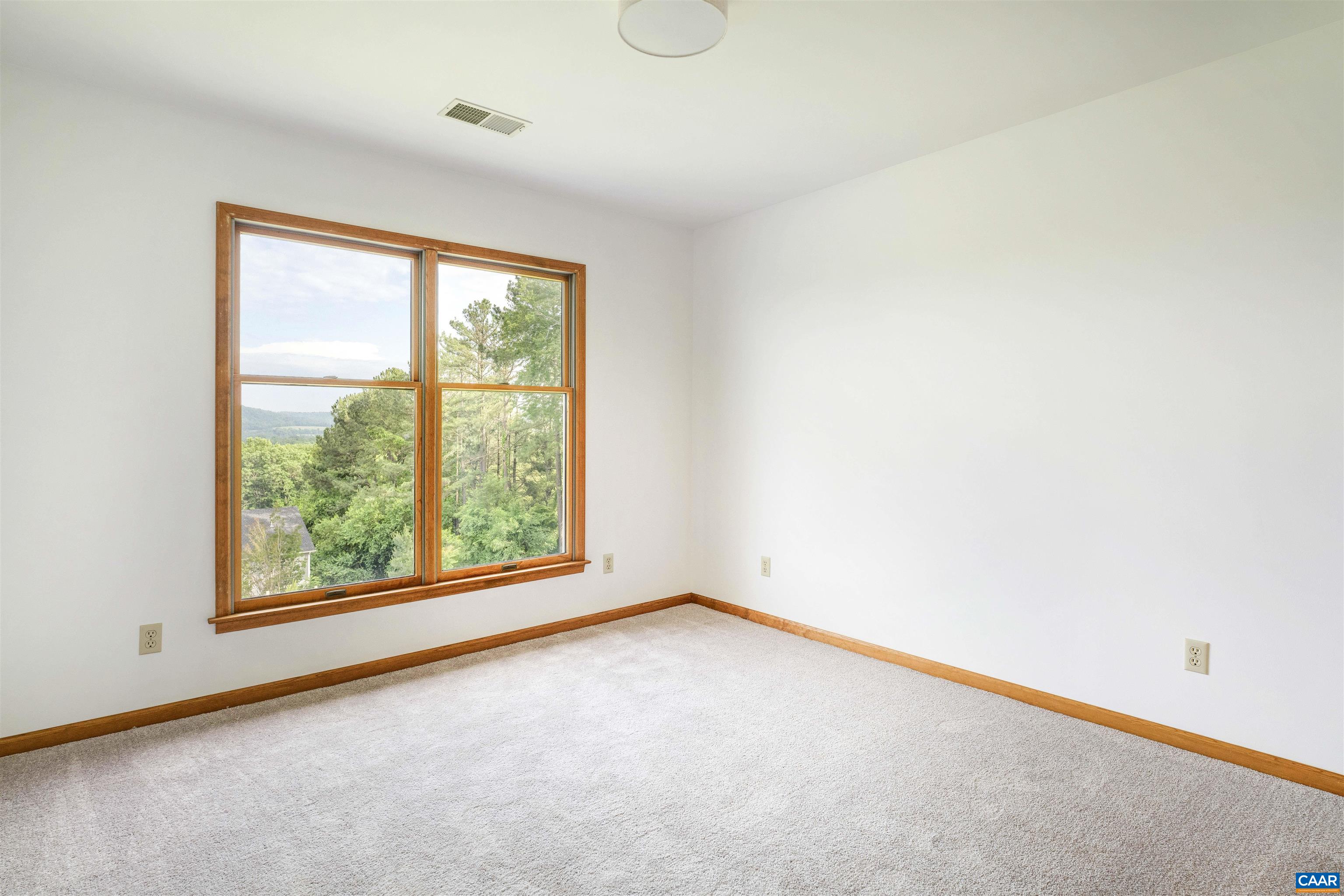 2413 Wakefield Road Charlottesville, VA 22901 - Photo 54 of 61
