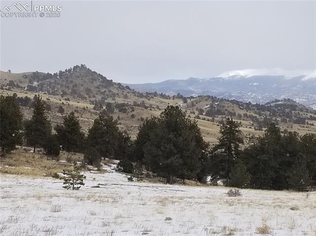 10882 Witcher Mountain Road Guffey, CO 80820 - Photo 11 of 27