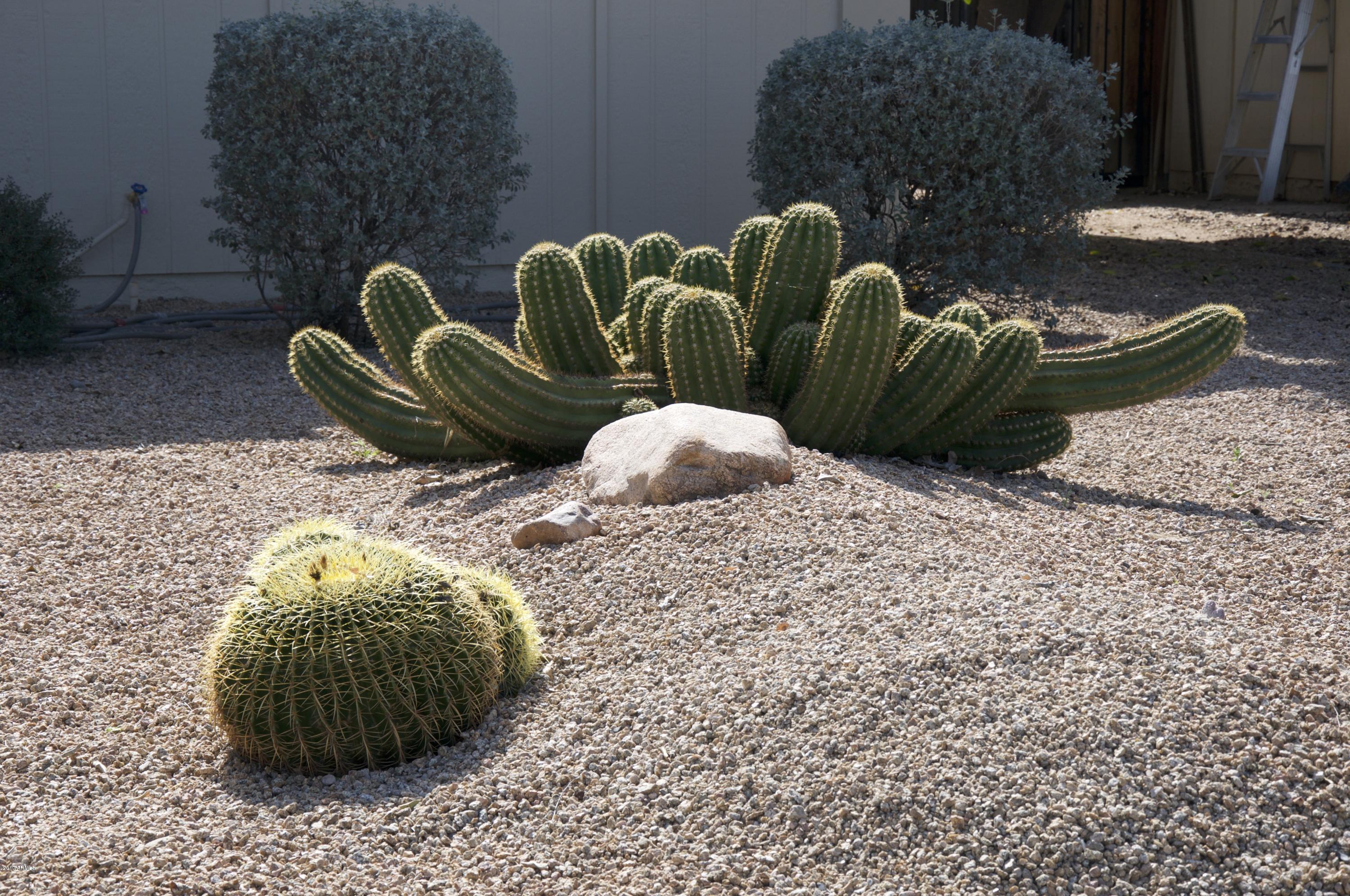 4141 West Hearn Road Phoenix, AZ 85053 - Photo 42 of 42 Desert front