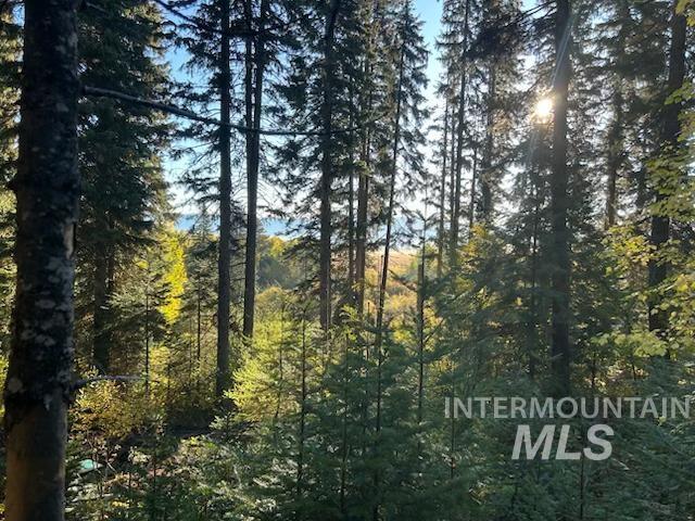 1601 Bear Trail Loop Cascade, ID 83611 - Photo 25 of 26