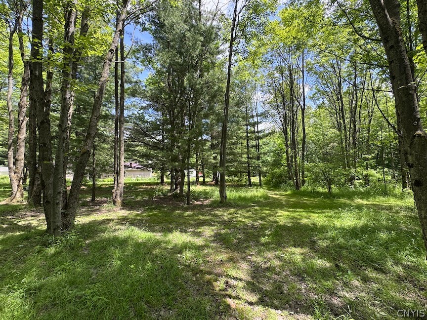 6227 Fritz Road Belfast, NY 14739 - Photo 45 of 50