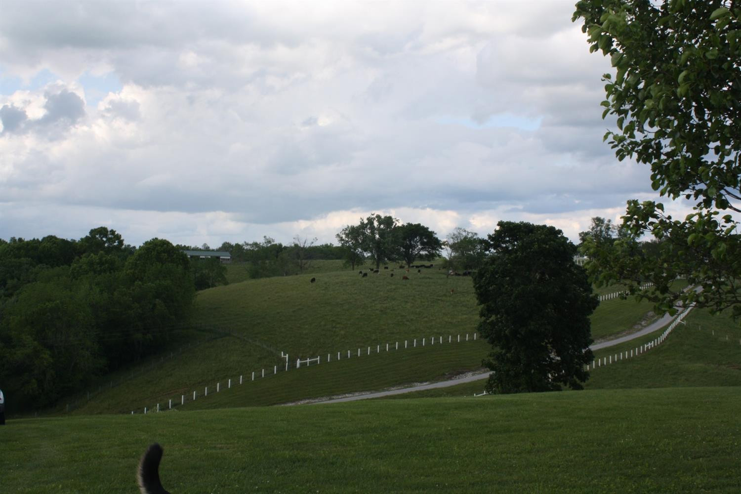 2680 Van Thompson Road Mount Sterling, KY 40353 - Photo 22 of 23 Photo 22