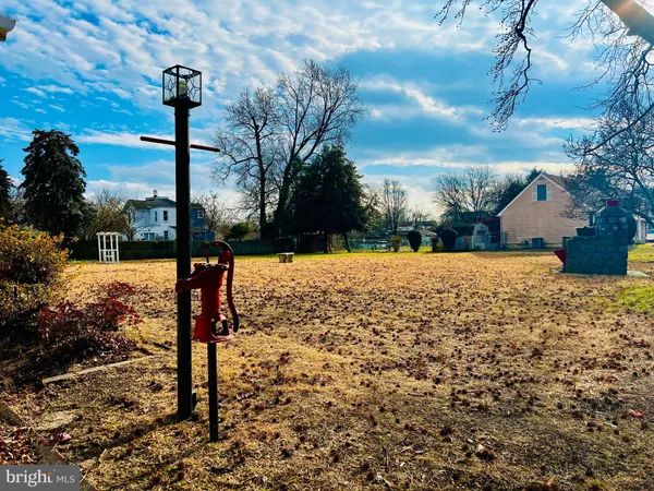 a view of a yard with a tree
