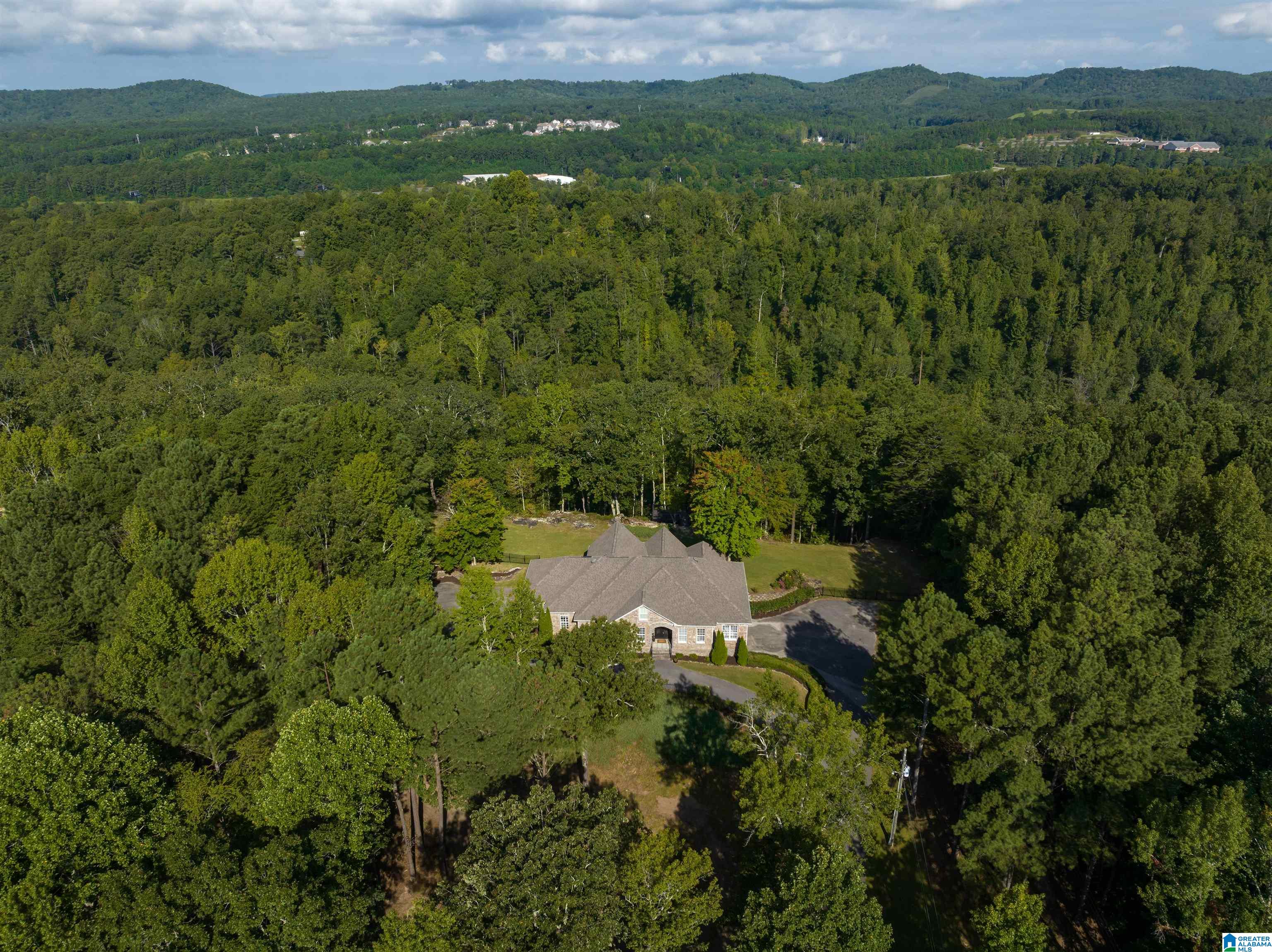 266 Hickory Valley Road Trussville, AL 35173 - Photo 51 of 61