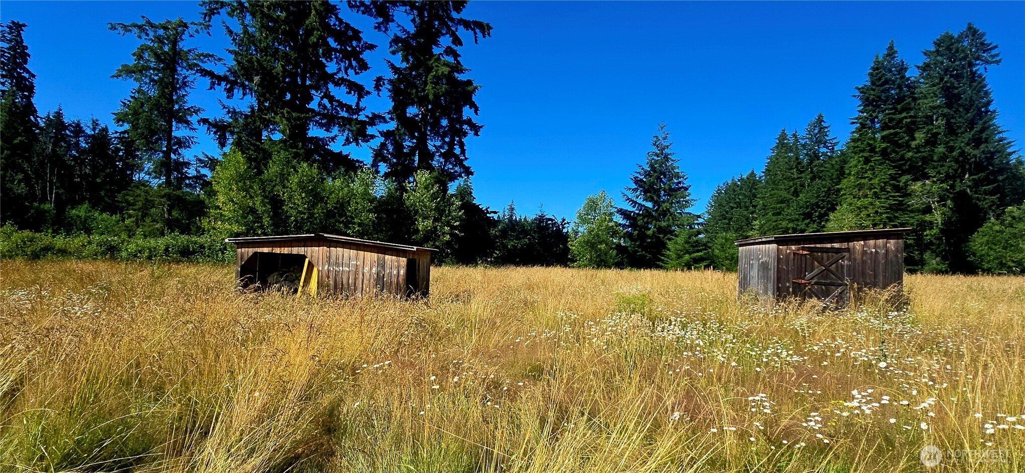 413 Manners Road Rochester, WA 98579 - Photo 3 of 8