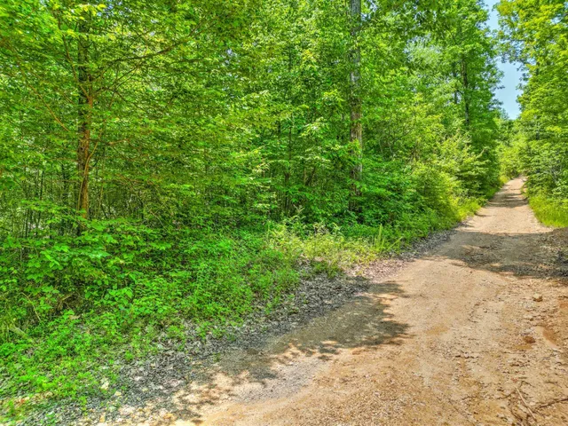 $100,000 | 43 Ridgetop Road, Hampshire, TN 38461