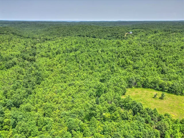 $100,000 | 43 Ridgetop Road, Hampshire, TN 38461