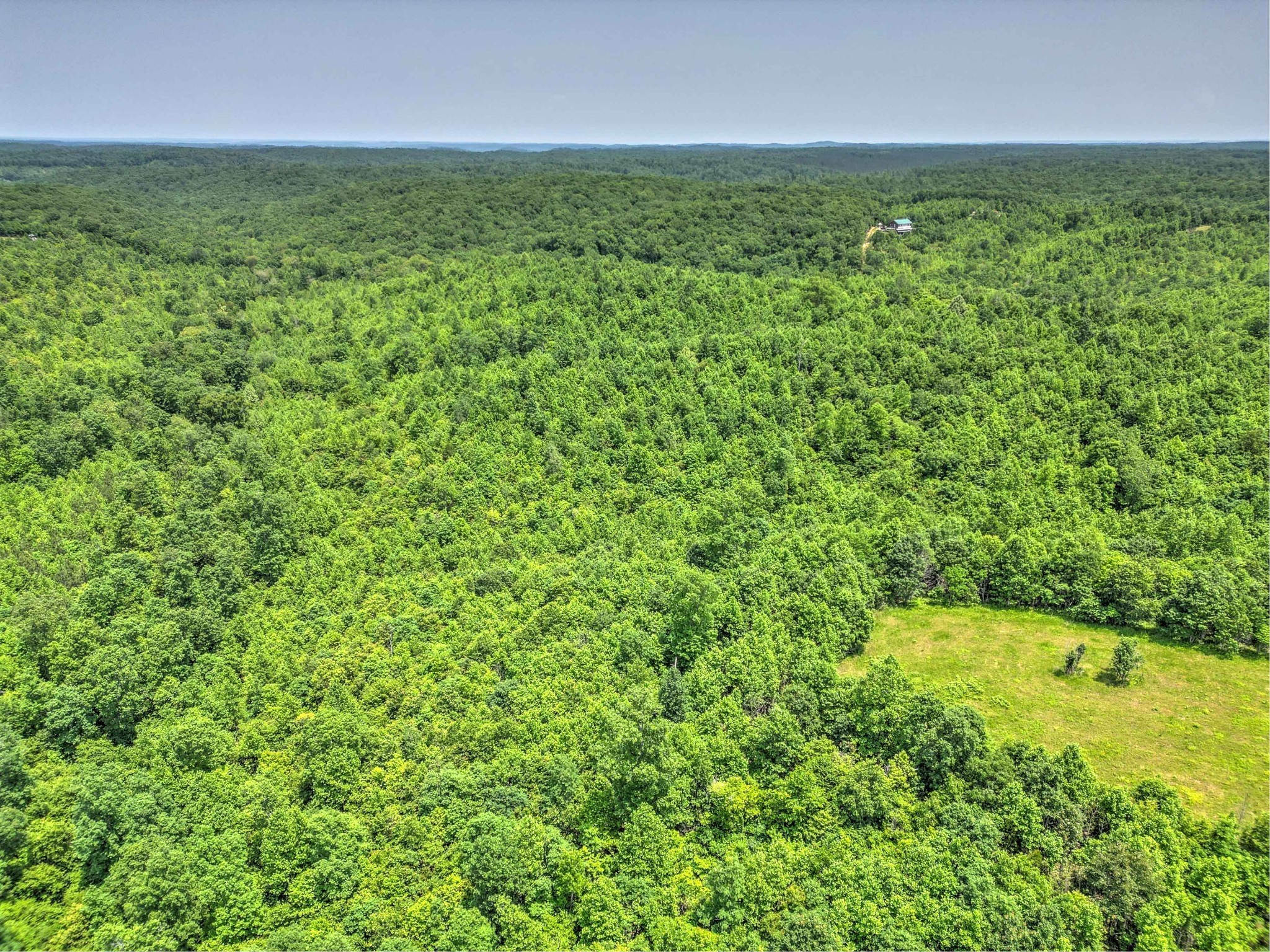 43 Ridgetop Road Hampshire, TN 38461 - Photo 11 of 21