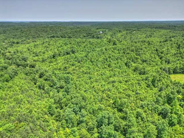 $100,000 | 43 Ridgetop Road, Hampshire, TN 38461