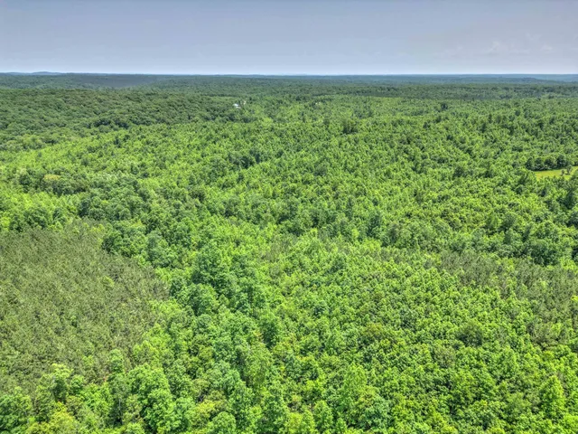 $100,000 | 43 Ridgetop Road, Hampshire, TN 38461