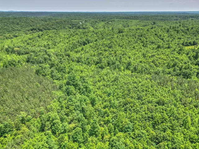 $100,000 | 43 Ridgetop Road, Hampshire, TN 38461