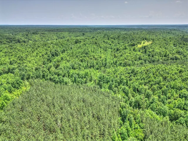 $100,000 | 43 Ridgetop Road, Hampshire, TN 38461