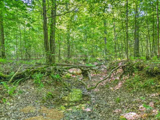 $100,000 | 43 Ridgetop Road, Hampshire, TN 38461