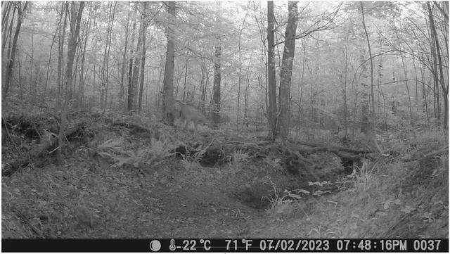 $100,000 | 43 Ridgetop Road, Hampshire, TN 38461