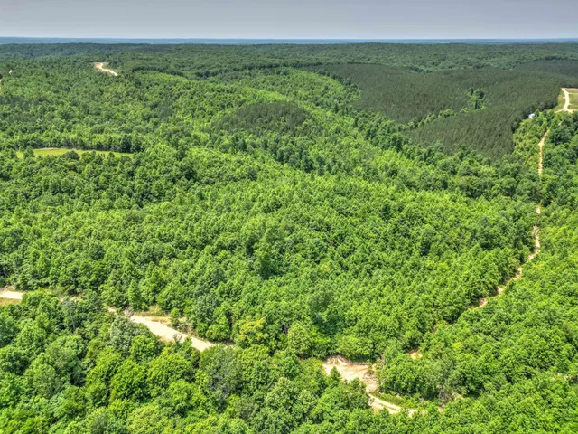 $100,000 | 43 Ridgetop Road, Hampshire, TN 38461