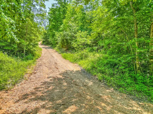 $100,000 | 43 Ridgetop Road, Hampshire, TN 38461