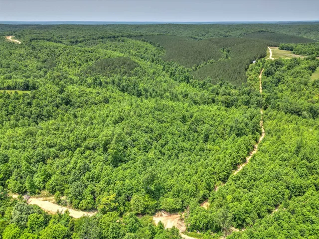 $100,000 | 43 Ridgetop Road, Hampshire, TN 38461