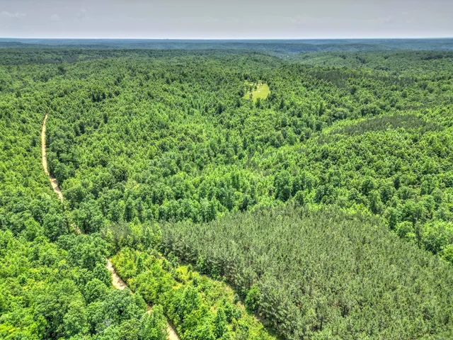 $100,000 | 43 Ridgetop Road, Hampshire, TN 38461