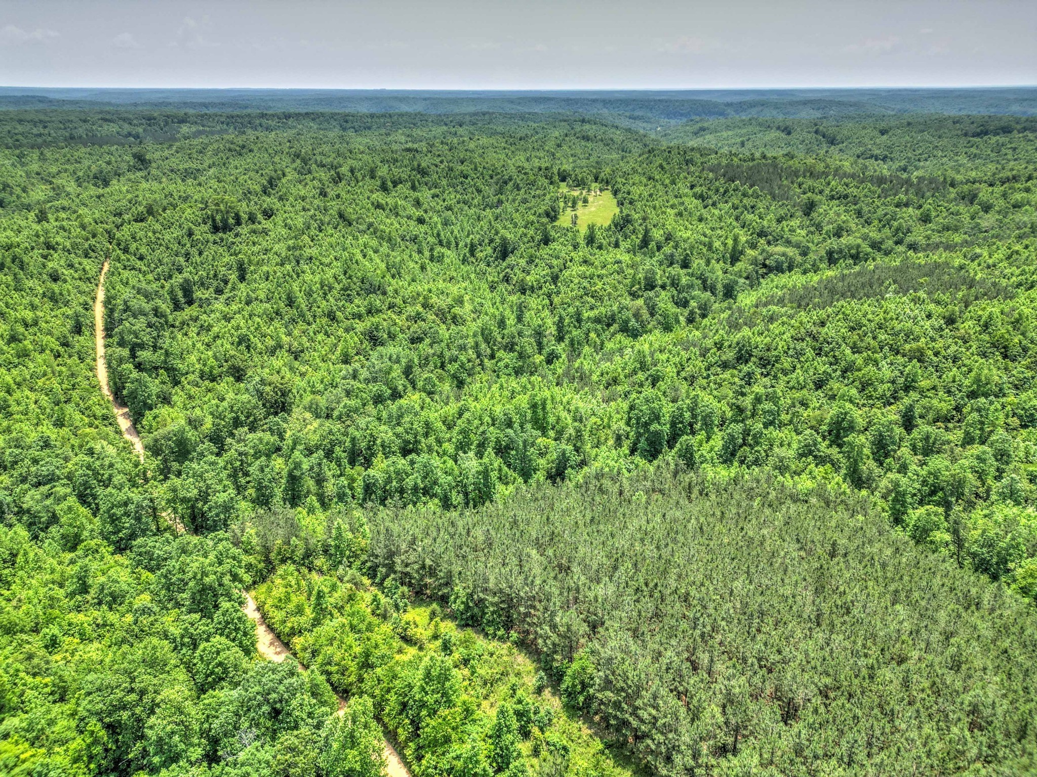 43 Ridgetop Road Hampshire, TN 38461 - Photo 6 of 21