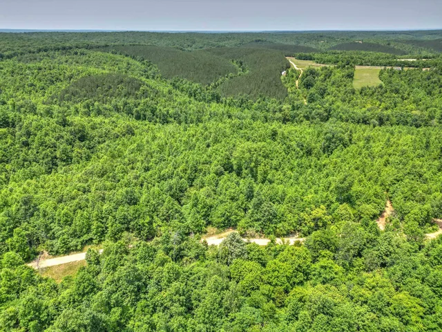 $100,000 | 43 Ridgetop Road, Hampshire, TN 38461