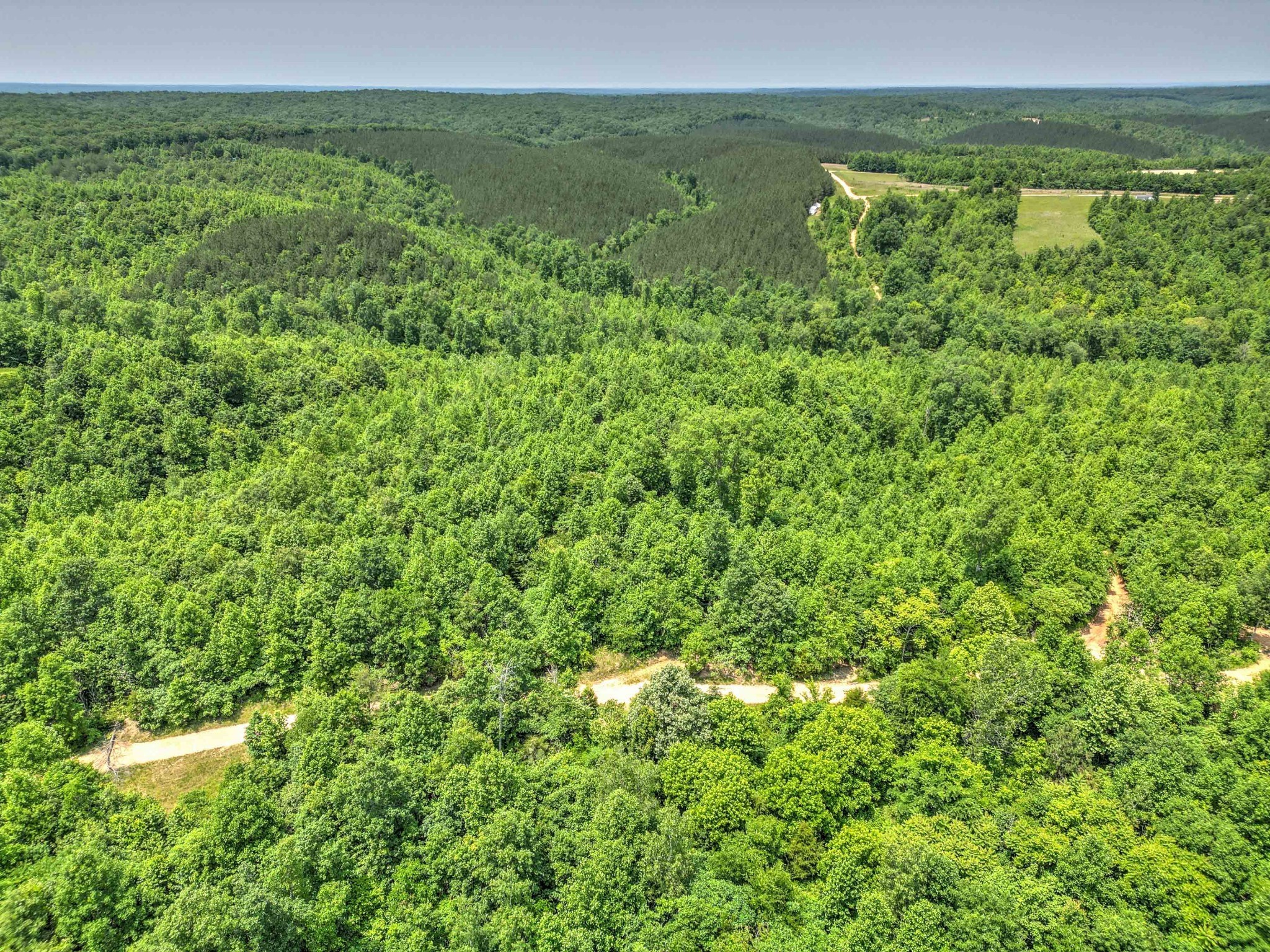 43 Ridgetop Road Hampshire, TN 38461 - Photo 7 of 21