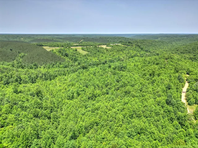 $100,000 | 43 Ridgetop Road, Hampshire, TN 38461