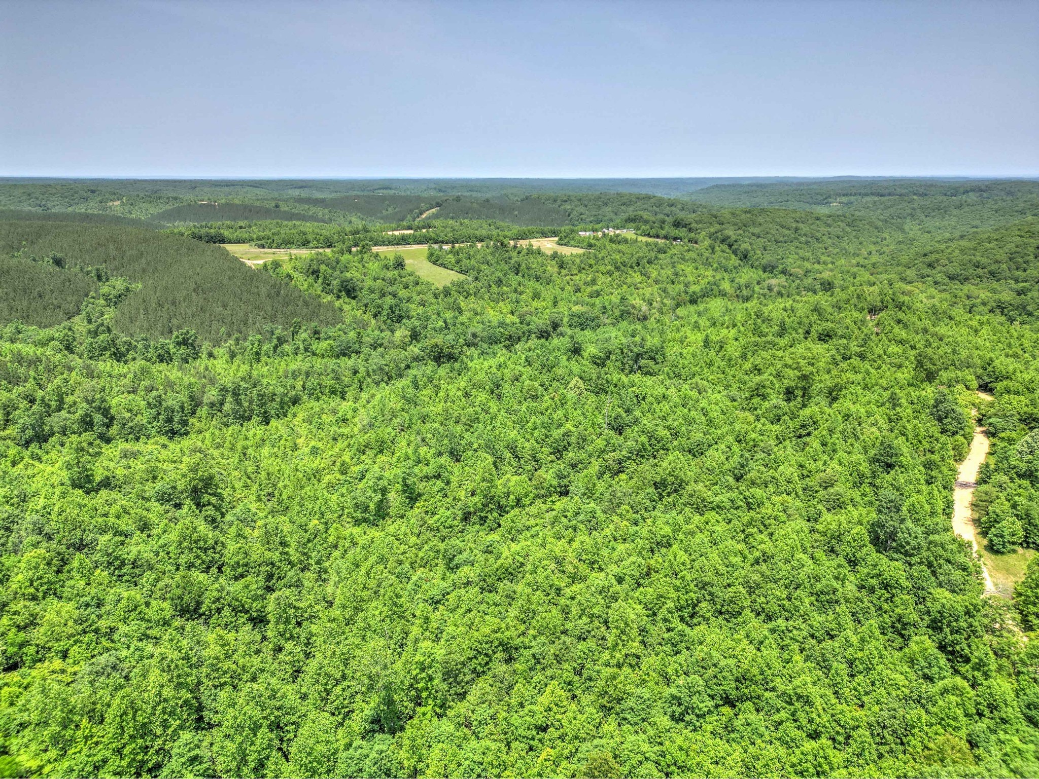 43 Ridgetop Road Hampshire, TN 38461 - Photo 8 of 21