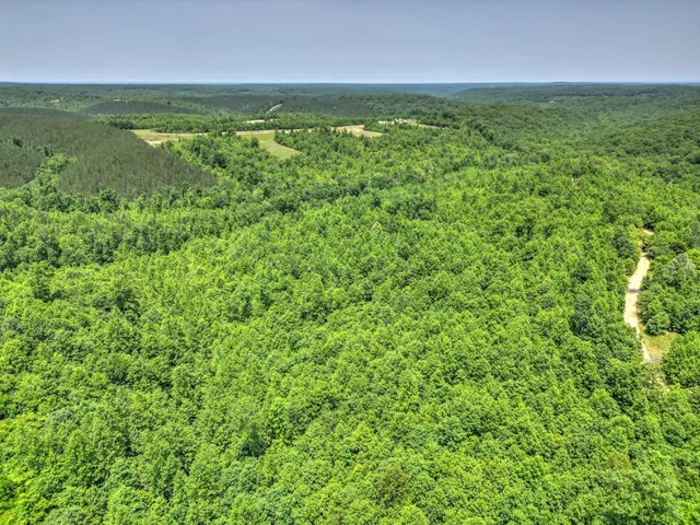 $100,000 | 43 Ridgetop Road, Hampshire, TN 38461